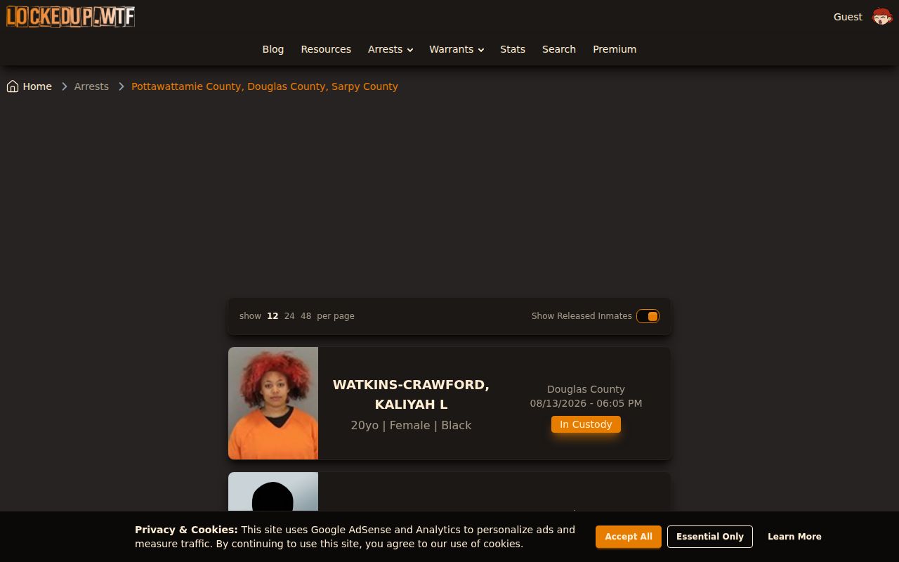 Unofficial LockedUp Lonoke County arrest index